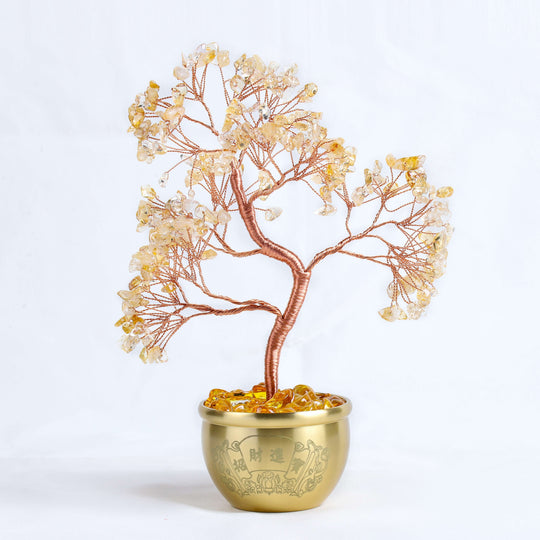 Natural Citrine "Fu" Money Tree | Prosperity & Abundance Anchor