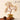 Natural Citrine "Fu" Money Tree | Prosperity & Abundance Anchor
