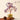 Natural Amethyst & Citrine Money Tree | Strategic Wisdom & Prosperity Anchor
