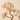 Natural Citrine "Fu" Money Tree | Prosperity & Abundance Anchor
