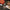 Pure Silver Celestial Master Tianshi Seal Traditional Guard & Balance Ring